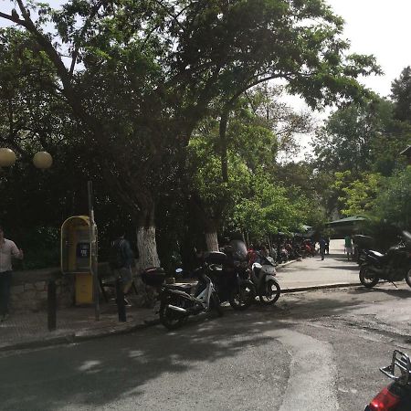 Newly Renovated Apt In Kolonaki 雅典 外观 照片
